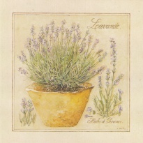 Obrázek 14x14, levandule, rám sv. dub - červotoč