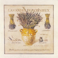 Obrázek 14x14, levandule v nádobě, rám sv. dub - červotoč