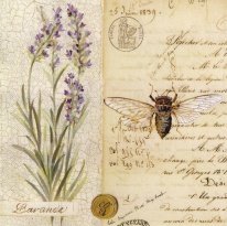 Obrázek 14x14, levandule/dopis, rám sv. dub - červotoč