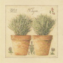 Obrázek 14x14, tymián, rám bílý s patinou