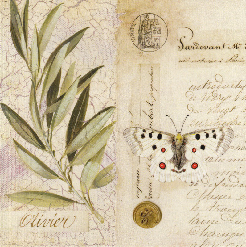 Obrázek 14x14, oliva/dopis, rám bílý s patinou