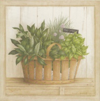 Obrázek 20x20, bylinky koření, rám sv. dub - červotoč