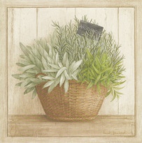 Obrázek 20x20, bylinky aromatické, rám sv. dub - červotoč