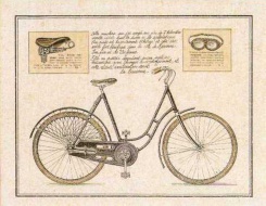 Obrázek 24x30, dámské kolo, rám sv. dub - červotoč
