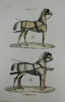 Obrázek 32x47, koňský postroj I., rám sv. dub - červotoč