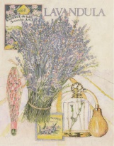 Obrázek 20x25, provence levandule II., rám sv. dub - červotoč