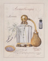 Obrázek 20x25, aromaterapie levandule, rám sv. dub - červotoč