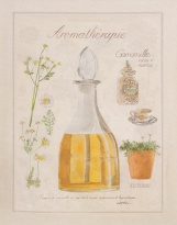 Obrázek 20x25, aromaterapie heřmánek, rám sv. dub - červotoč