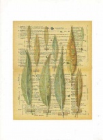 Obrázek 30x40, listy eucalyptus & oliva, rám sv. dub - červotoč