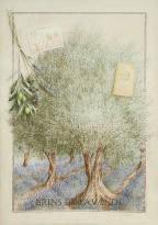 Obrázek 30x40, levandule mezi stromy, rám sv. dub - červotoč