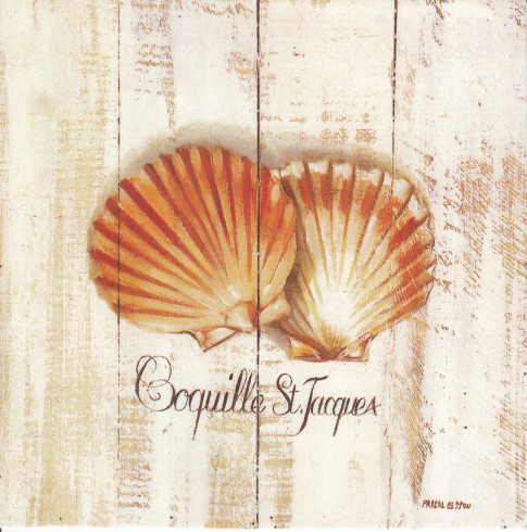 Obrázek 14x14, mušle, rám bílý s patinou