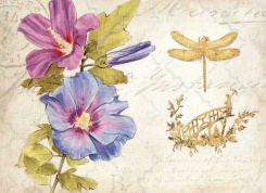 Obrázek 30x40, královská zahrada II., rám sv. dub - červotoč