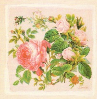 Obrázek 20x20, houšitna růží I., rám sv. dub - červotoč