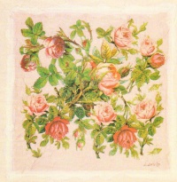 Obrázek 20x20, houština růží II., rám sv. dub - červotoč