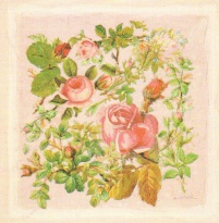 Obrázek 20x20, houština růží III., rám sv. dub - červotoč