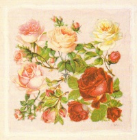 Obrázek 20x20, houština růží IV., rám sv. dub - červotoč