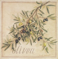 Obrázek 20x20, olivea, rám bílý s patinou
