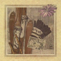 Obrázek 30x30, lyže & rukavice, rám sv. dub - červotoč