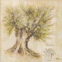 Obrázek 30x30, olivovník v písmu, rám sv. dub - červotoč