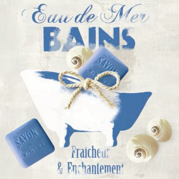 Obrázek 30x30, mořské provance VI., rám bílý s patinou