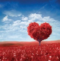 Obrázek 30x30, strom - srdce, červené, rám bílý s patinou