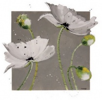 Obrázek 30x30, mák - světlý, rám sv. dub - červotoč