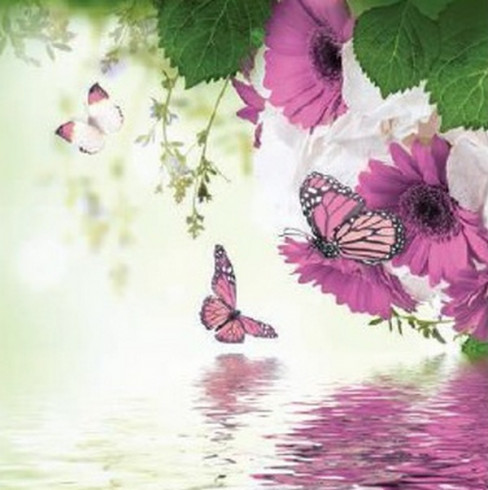 Obrázek 30x30, motýl růžový, rám bílý s patinou