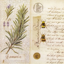 Obrázek 14x14, rozmarýna/dopis, rám sv. dub - červotoč