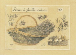 Obrázek 13x18, košík levandule, rám sv. dub - červotoč