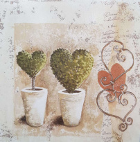 Obrázek 14x14, dvě srdce v květináči, rám sv. dub - červotoč