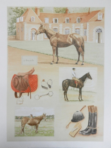 Obrázek 30x40, koně I., rám sv. dub - červotoč