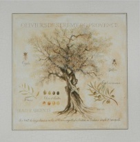 Obrázek 33x33, olivovník, rám sv. dub - červotoč