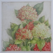 Obrázek 33x33, hortezie I., rám sv. dub - červotoč