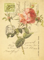 Obrázek 30x40, psaní  - růže I., rám bílý s patinou