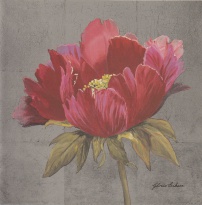 Obrázek 18x18, červená pivoňka, rám bílý s patinou