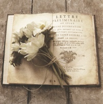 Obrázek 18x18, kniha & bílá kytice, rám bílý s patinou