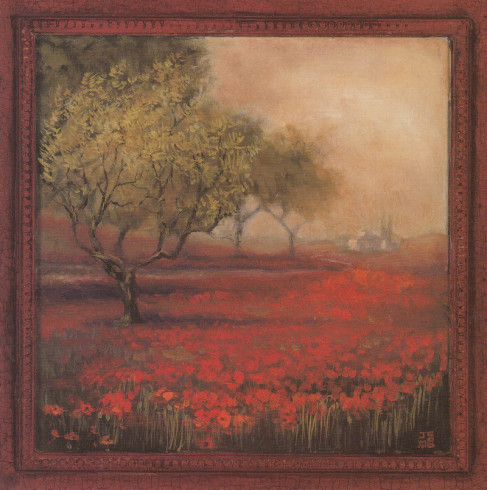 Obrázek 18x18, pole máku I., rám bílý s patinou