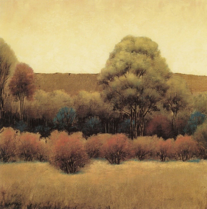 Obrázek 18x18, les II., rám sv. dub - červotoč