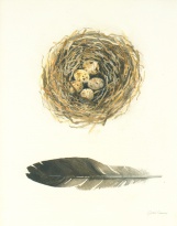 Obrázek 24x30, ptačí hnízdo, rám sv. dub - červotoč