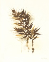 Obrázek 24x30, větvičky, rám sv. dub - červotoč