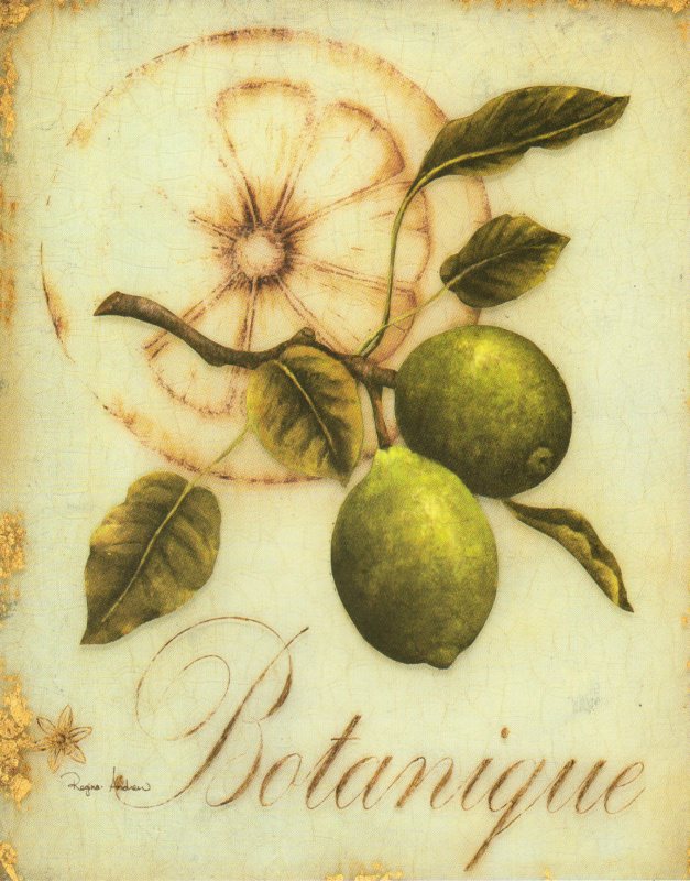 Obrázek 24x30, ovoce botanique, rám sv. dub - červotoč