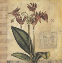 Obrázek 18x18, lilie I., rám sv. dub - červotoč