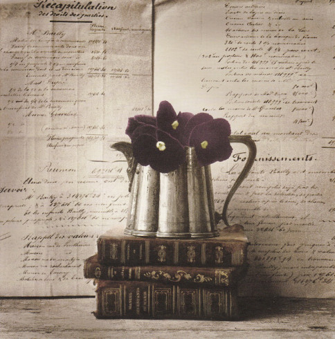 Obrázek 18x18, fialky, rám bílý s patinou