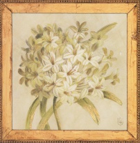 Obrázek 18x18, květ česneku, rám sv. dub - červotoč