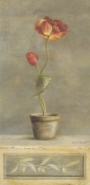 Obrázek 13x25, vlčí mák v květináči, rám sv. dub - červotoč