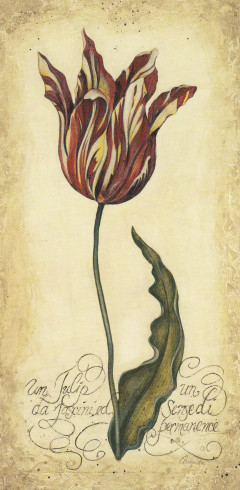Obrázek 13x25, žíhaný tulipán II., rám sv. dub - červotoč