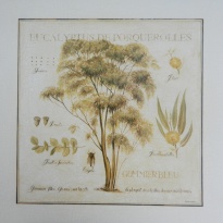 Obrázek 33x33, eucalyptus, rám bílý s patinou