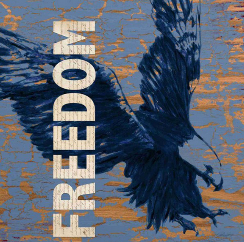Obrázek 50x50, freedom, rám sv.dub - červotoč