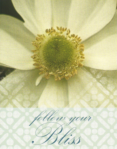 Obrázek 24x30, květ, rám bílý s patinou