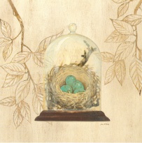 Obrázek 30x30, hnízdo, rám sv. dub - červotoč